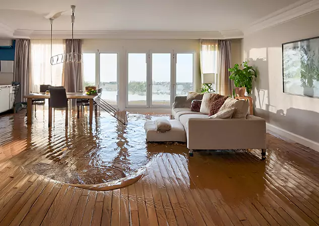 Your Trusted Water Removal Specialists in Forest Park, GA